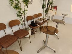 -共舞时光猫咖·狗咖(新街口店)
