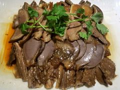 -新锦鸿(演达店)