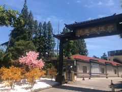 -汤里来温泉