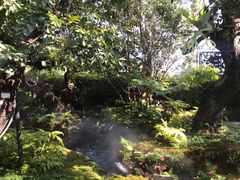 -Chom Cafe and Restaurant