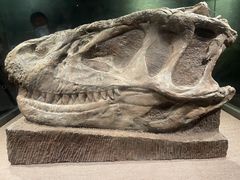 -自贡恐龙博物馆