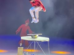 -重庆国际马戏城