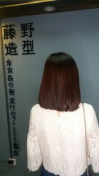 点击看大图 -藤野造型