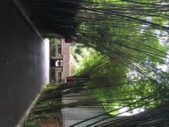 罗望乡村酒店-罗望子村酒店