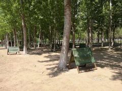 -亲兄弟真人CS团建拓展基地