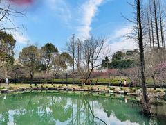-兰亭风景区