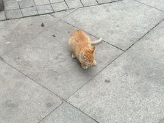 -世园罗曼小镇