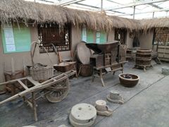 -上海都市菜园
