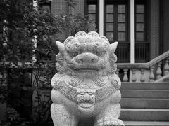 -上海交通大学医学院附属瑞金医院(总院)