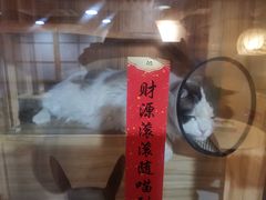 -白兔子密室(长寿路店)