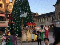 -中旅阿那亚九龙湖·公主酒店