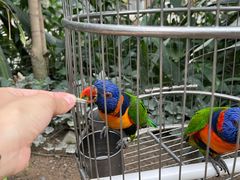 -南宫五洲植物乐园