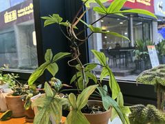 -1861意大利餐厅(文化广场店)