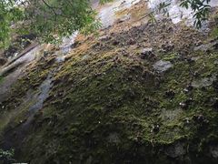 -腾冲云峰山