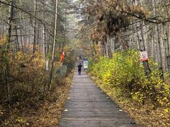 -帽儿山国家森林公园