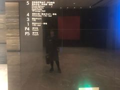 -长沙尼依格罗酒店