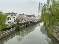 -得意楼蒸菜馆