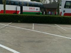 -野生动物园-停车场