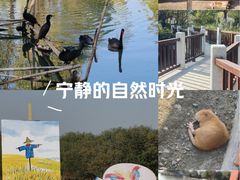 -长兴太湖图影湿地文化园