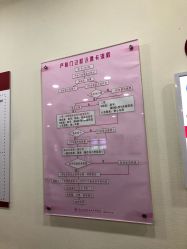 -复旦大学附属妇产科医院(杨浦院区)