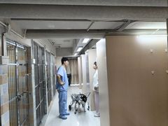 -谐和贝康宠物医院24小时·宠保定点(急重症转诊中心)