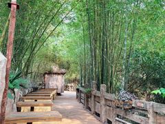 -长鹿旅游休博园
