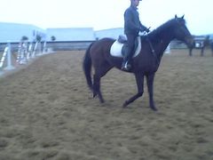 -松声马术俱乐部