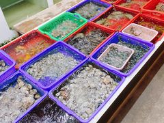 -南蚝小贝海鲜特色餐厅(南澳岛店)