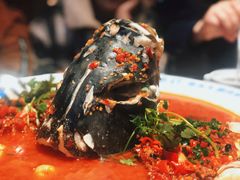 坛宗剁椒鱼头-坛宗剁椒鱼头(河西王府井店)