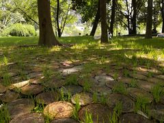 -成都市活水公园