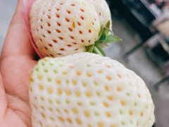 -山姆会员商店(杨桥西路店)