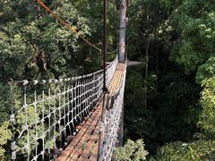 -清迈丛林飞跃 JungleFlight