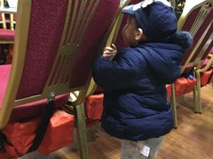 -珠江夜游省总码头