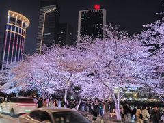 -西北湖绿化广场