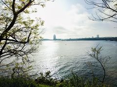 -八大关景区