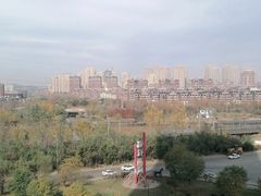 -前关湿地公园