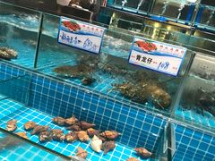水产区-狮伙海鲜捞(千灯湖店)