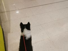 -希尔顿欢朋酒店自助餐
