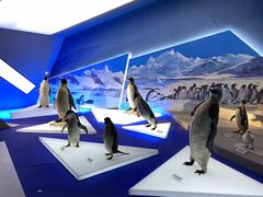 -贝林大翅鲸简餐厅(国家海洋博物馆店)