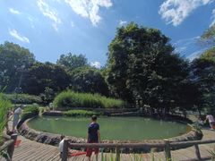 -成都市活水公园