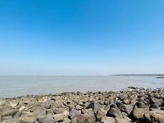 -上海吴淞炮台湾国家湿地公园