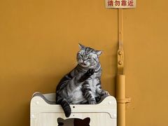 -龙华寺