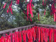 -帽儿山国家森林公园