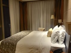 -深圳皇庭V酒店