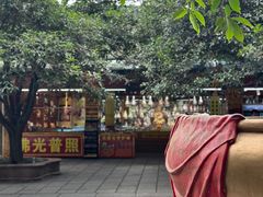 -鼎湖山风景区