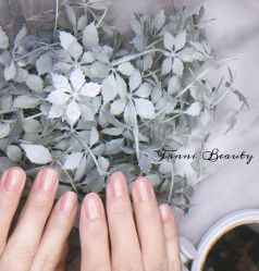 -Fanni美甲美睫皮肤管理