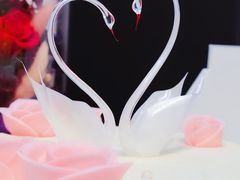 -BLACKSWAN黑天鹅(环球店)