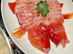 东星斑-协成海鲜火锅(海洋花园店)
