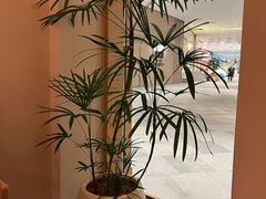 -奈雪茶院·茶室茶馆(广州粤海天地店)