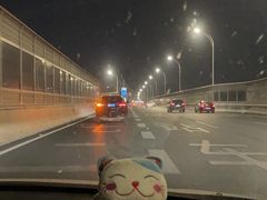 -聂师傅油焖大虾
